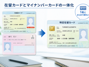 在留カードとマイナンバーカードが一体化された特定在留カードの写真