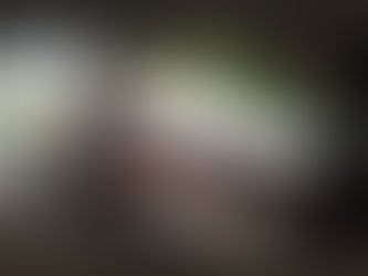 被災地からの声➁