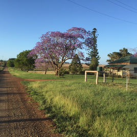 Country roads