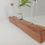 Thumbnail: Silky Oak Propagation Station