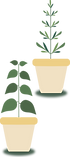 plants-09.png