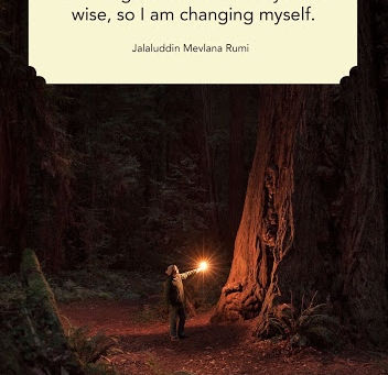 Change - Clever or Wise