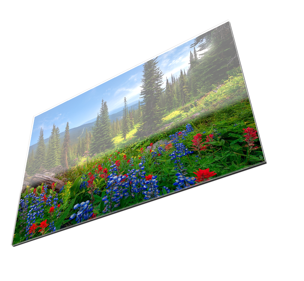 Paradise Meadow - angled view (acrylic).png