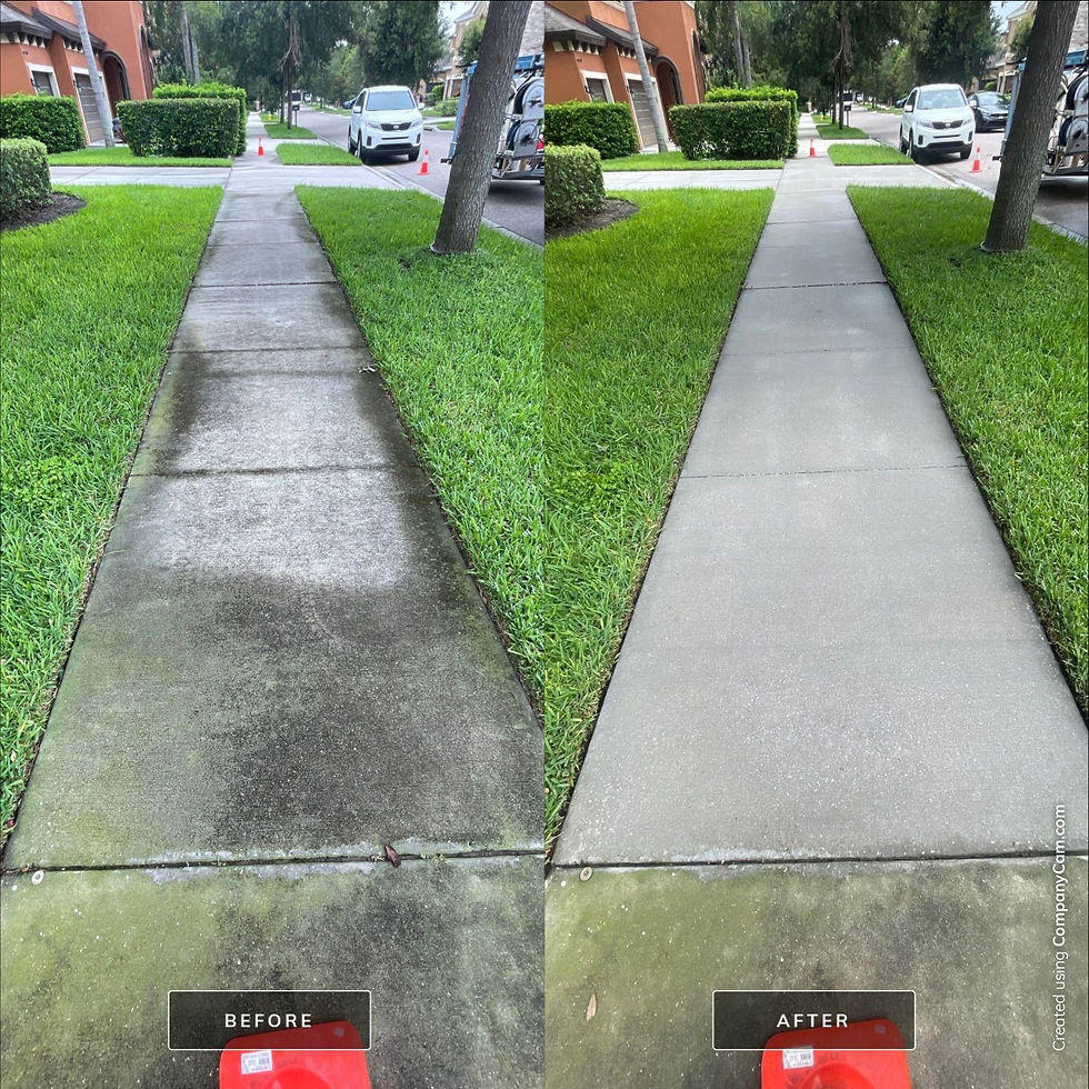 Before and after photos and logo with branding