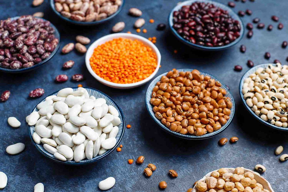 Premium Beans Brand in India for Healthy Lifestyle