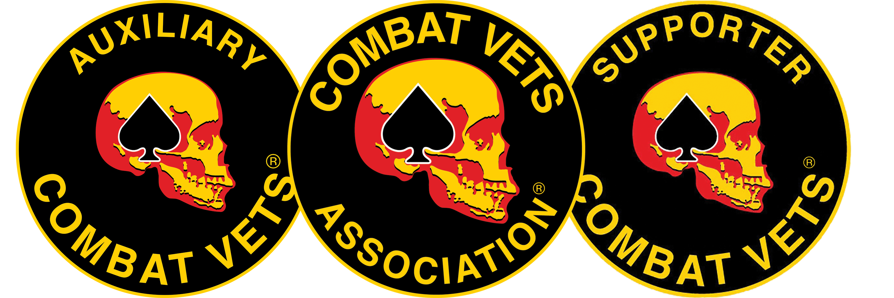 Combat Vets Association Logo