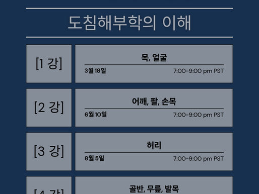 2026년 온라인 보수교육 일정