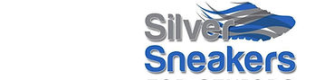 silver sneakers.jpg
