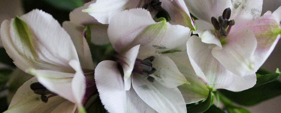 IMG_49244_edited.jpg