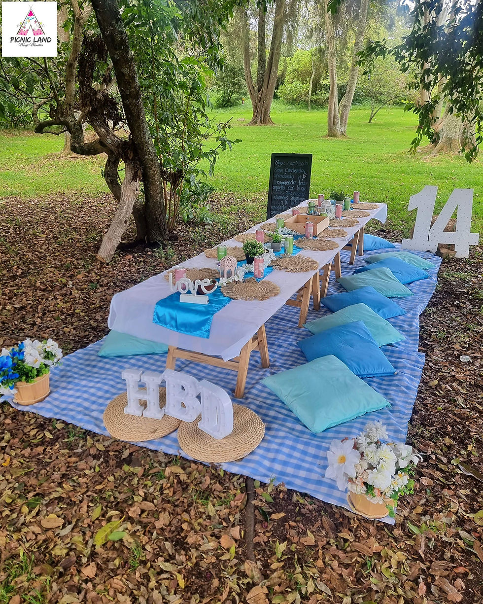 Miniatura: Picnic Retro