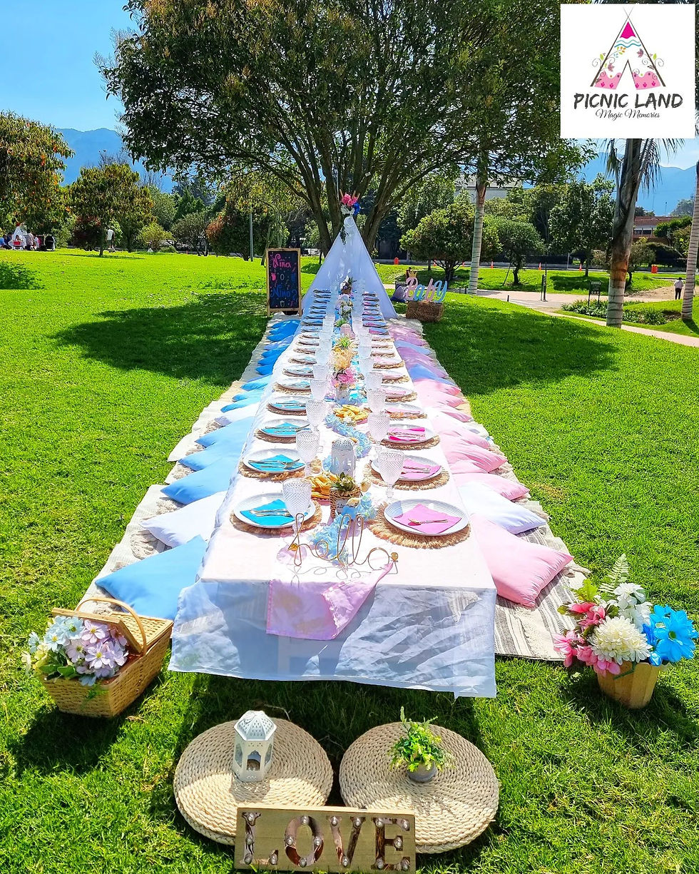 Miniatura: Picnic Gender Reveal