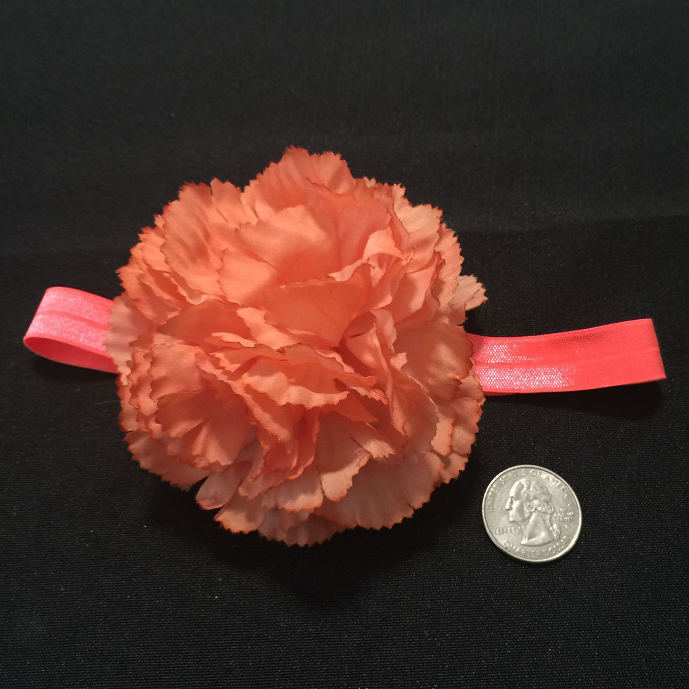 PEACH CARNATION PINK BAND INFANT BOHO HE