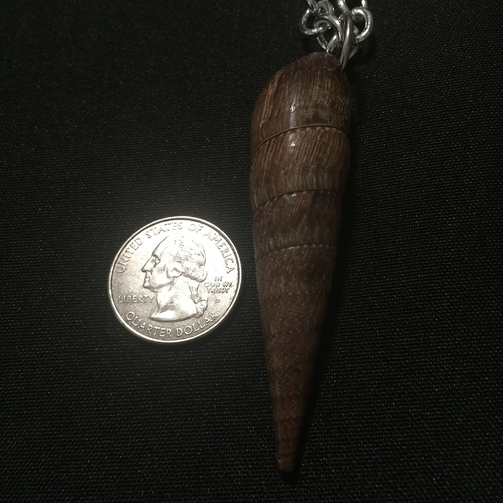DARK BROWN SPIRAL SHELL NECKLACE