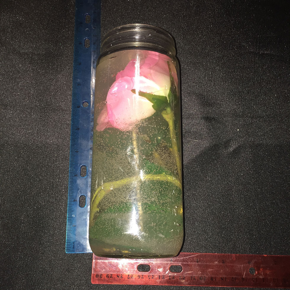 RED ROSE GELLY WAX CANDLE