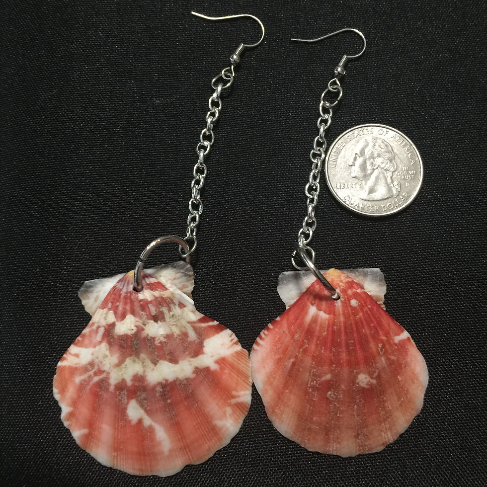 WHITE & ORANGE SEASHELLS EARINGS