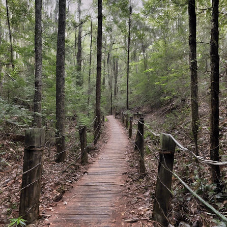 georgia trails.jpg