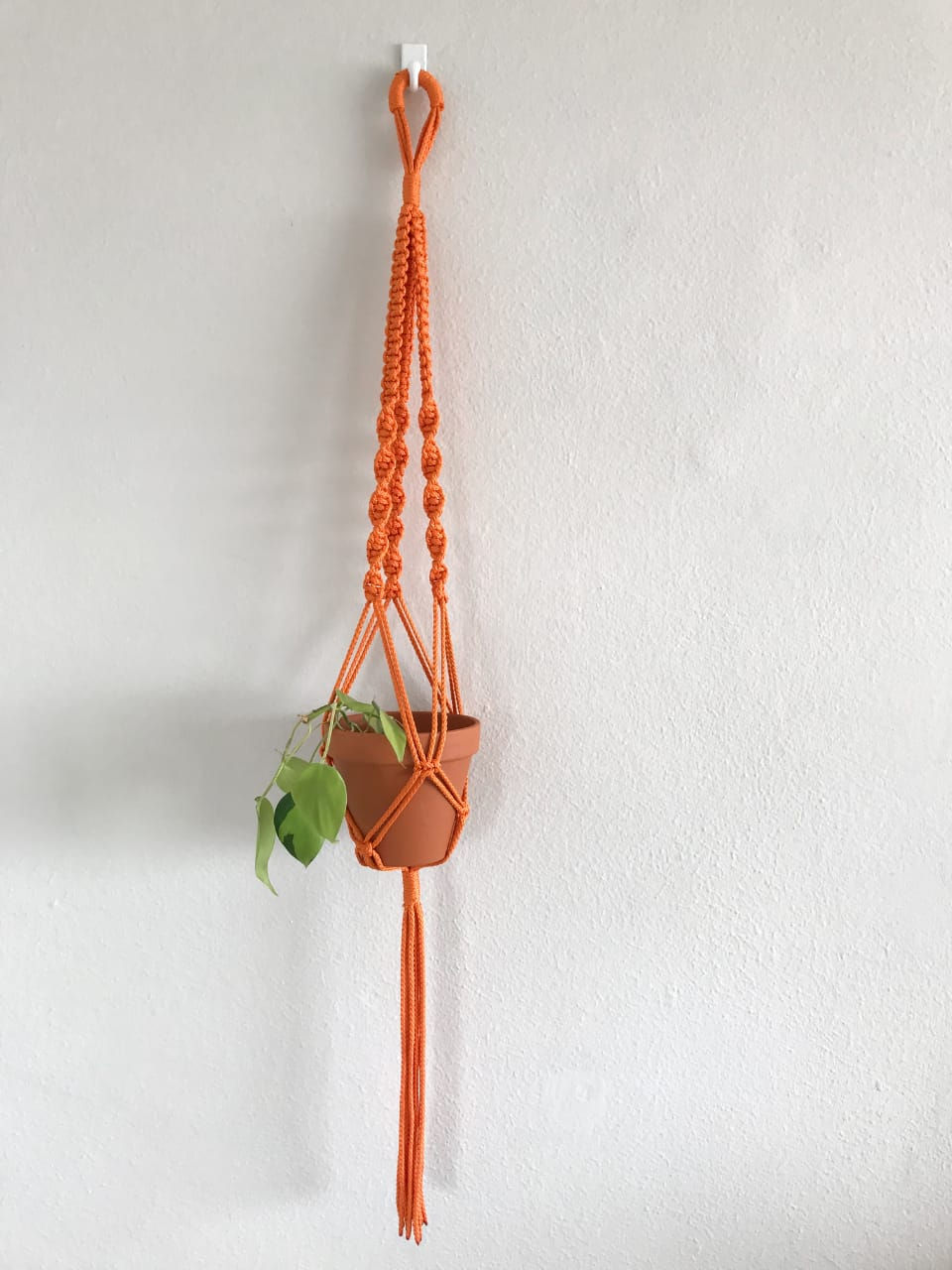 Thumbnail: Macrame Plant Hanger - Delux Colour