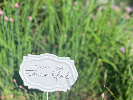 Your Early Spring Garden To-Do List