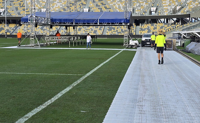 Turf Protection 2.JPG