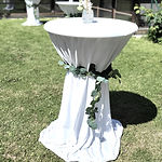 Stehtischhusse mit Eukalyptus_edited.jpg