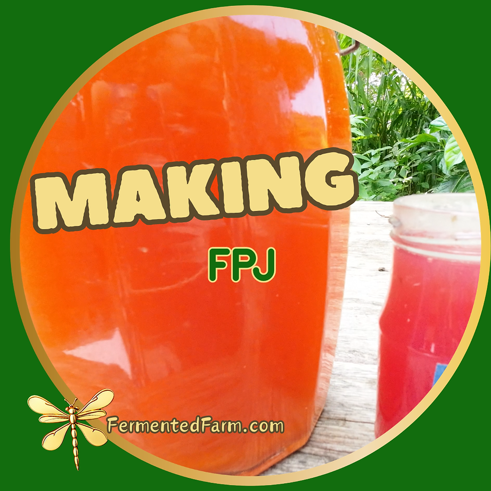 A jar of orange FPJ labeled "MAKING FPJ" on a wooden table outdoors. Green border with a dragonfly and "FermentedFarm.com" text.