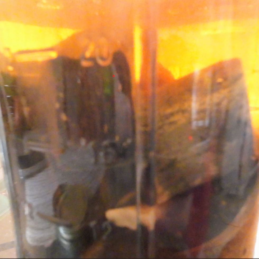 Charred bones dissolving in vinegar to make water soluble calcium phosphate with bubbles rising as bones leach into the vinegar