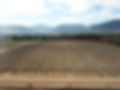 DJI_0127.JPG
