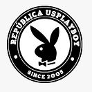 logo rep - Daniel Barbisan Bertoldo.jpg