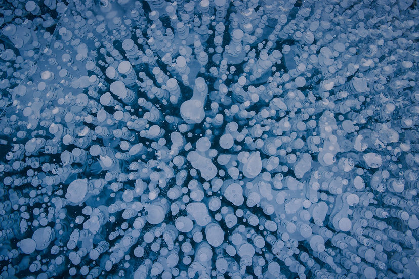 6X3A3740-Enhanced-NR-Edit_edited.jpg