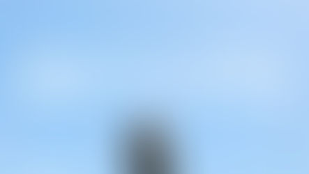 TriGen三丈真經 #3 - Property Chain 之 Chain 還是 No Chain?