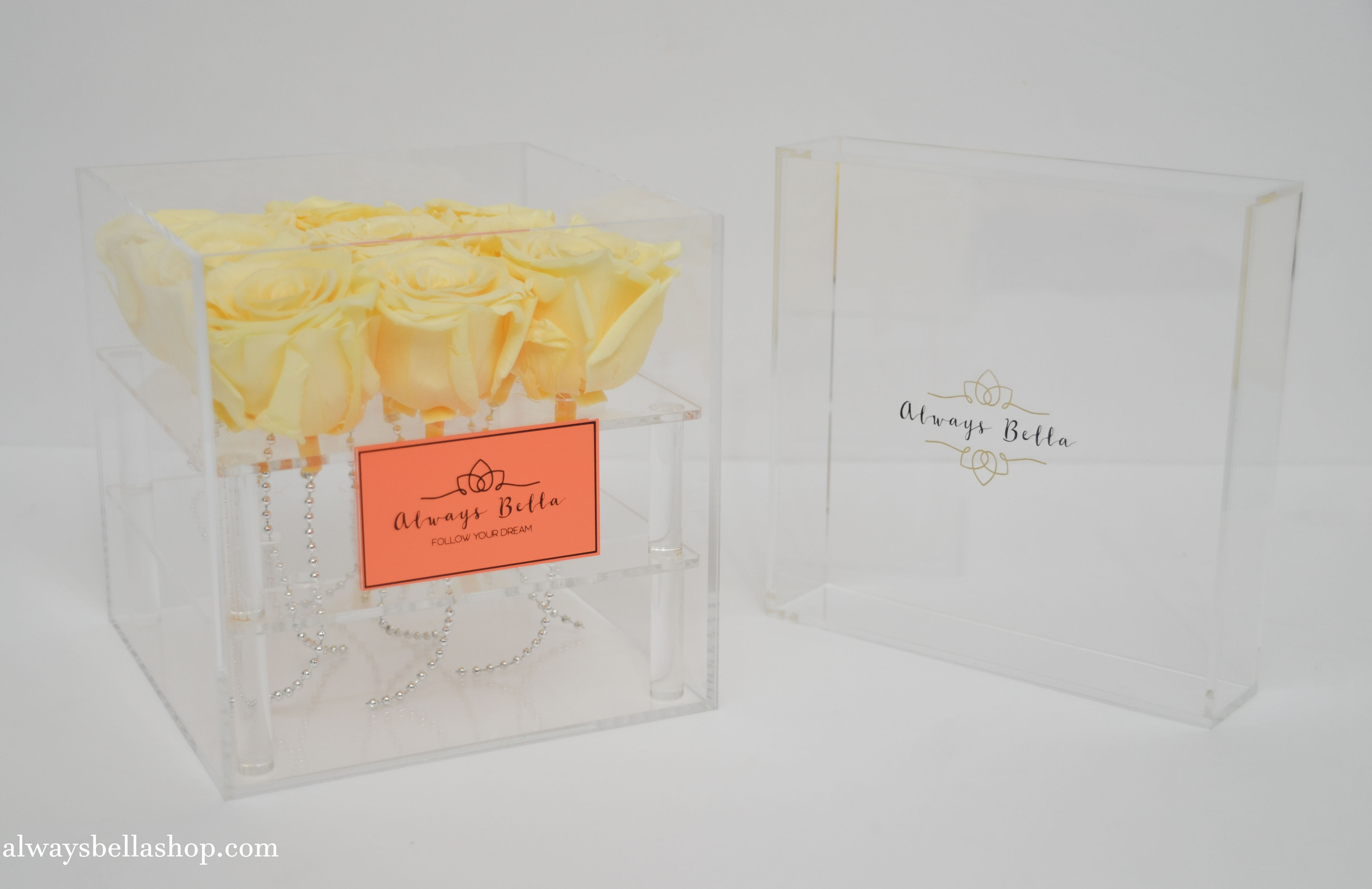 9 Cream preserved Roses in the acrylic box "Always Bella"