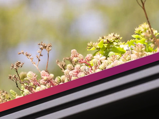 Pontos de ônibus verdes