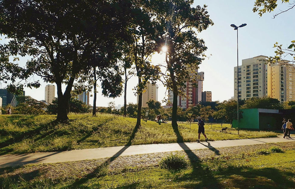 parque urbano