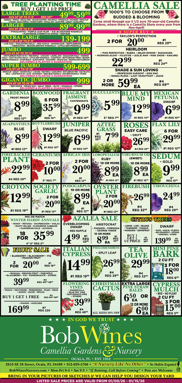 BOB WINES 01-09-2026