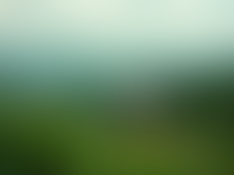 Urlaub am Teufelsberg: Ihr perfekter Rückzugsort