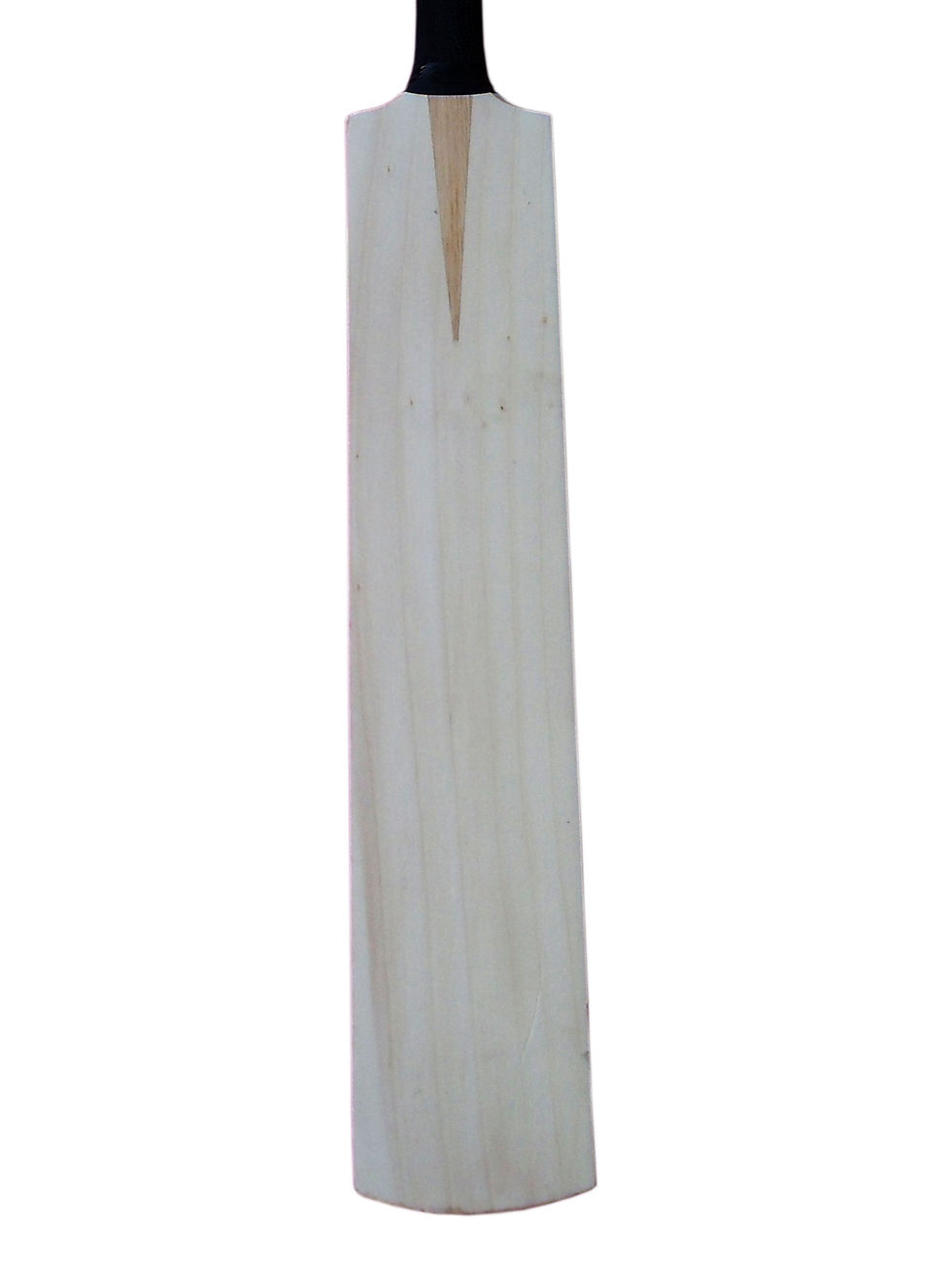 Thumbnail: Malik Plain Bat