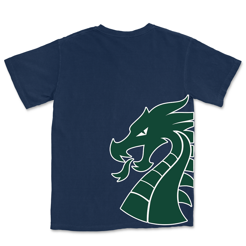 Thumbnail: LC Dragons
