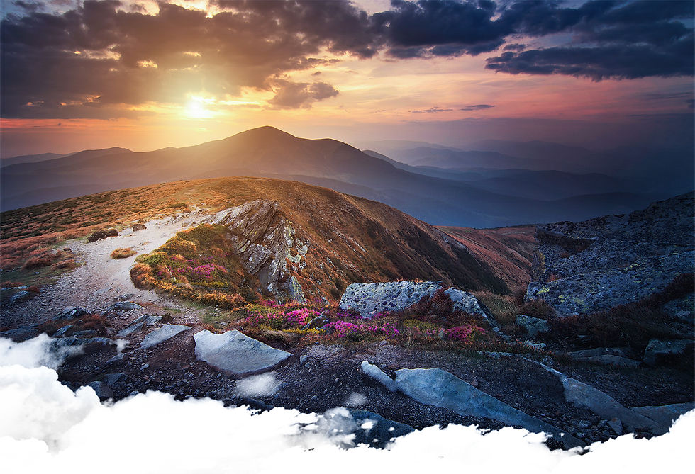 петрос рута.jpg