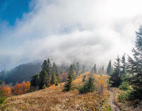 Топ локації для зустрічі "Золотої осені" в Карпатах