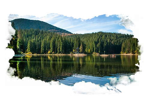 фото з ччччффчф.png