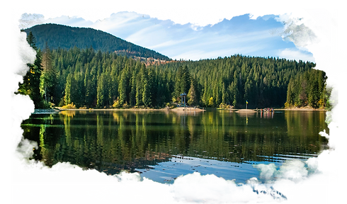 фото з ччччффчф_edited_edited.png
