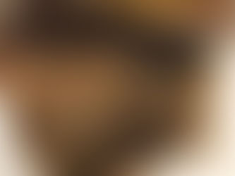 Calico bread (Fablehaven)