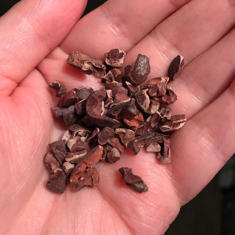 Cacao nibs