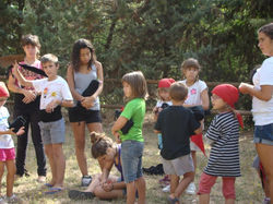 Mª Dolors