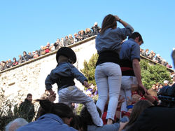 _Lluis7.jpeg