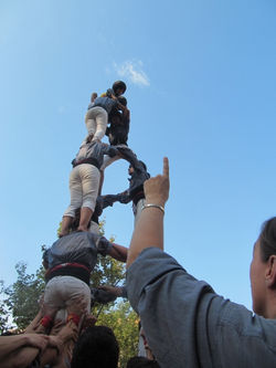 Foto de Organitzacio