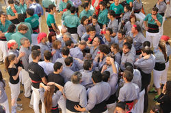 Foto de Tiare