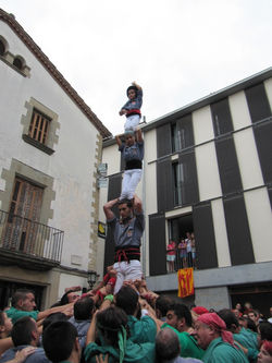 Montse