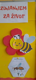 viber_slika_2026-05-21_20-26-43-053_19_11zon.jpg