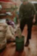6K4A0105.jpg